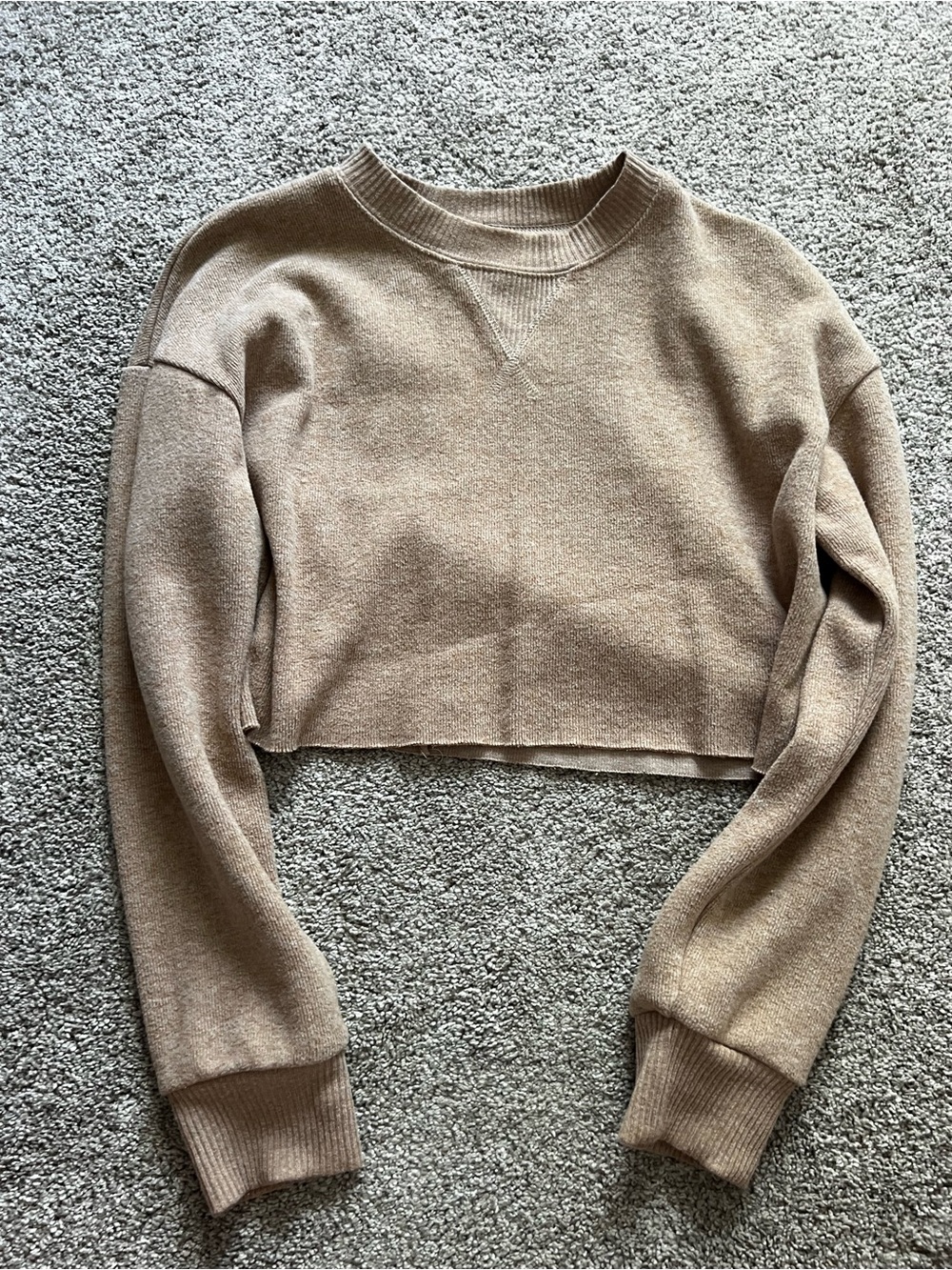 Zara Cropped Crewneck Sweater in Taupe